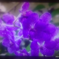 星辰缥缈