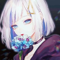 琴新