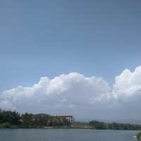 七組邀請(qǐng)顧惜邀請(qǐng)站