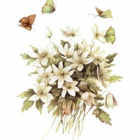 花开花落总是缘