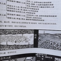 医学资格考试