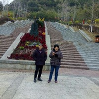 只是日常