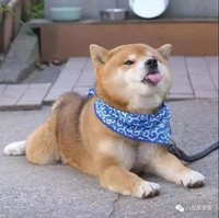 撩各種美男