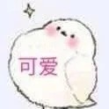 學(xué)霸附體