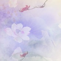 涵葭邀请驻站