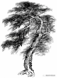 虐成強(qiáng)者