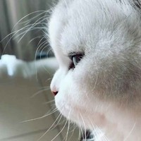 飒卷