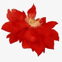 洪荒系統(tǒng)流