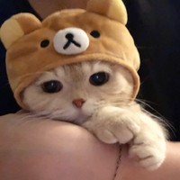 女主推倒