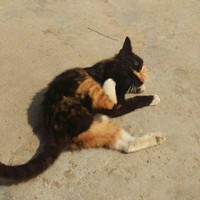 求看求关注求评价