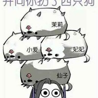 凌苑