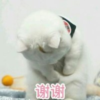 王爷不是群众演员