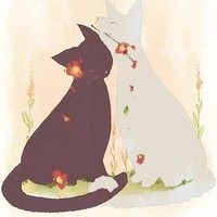 猫科动物