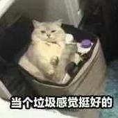 角色大亂燉