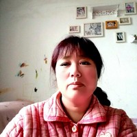 布宠安