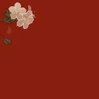 丫丫原创