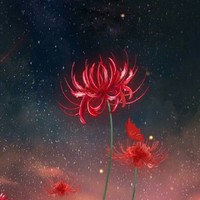 解忧酒馆