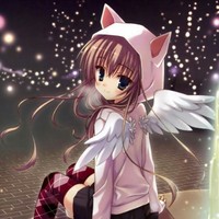 天降神猫