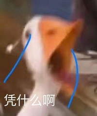 沙雕短篇甜文