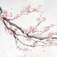 星辰入海