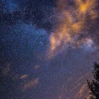 欢迎催更