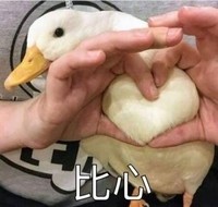新生活