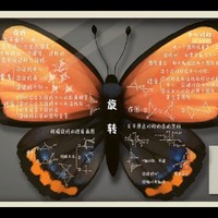 大型番外