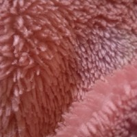 想剧情