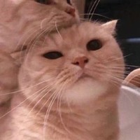 璃葉邀請駐站