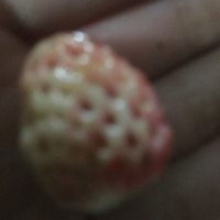 一个傻子的闲话