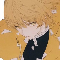 雜文體小說