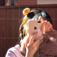 星鶴