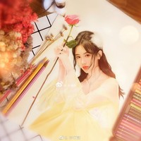 肖战王一博鞠婧祎