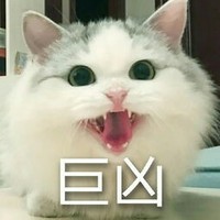夸思思虐王默