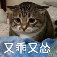 代價生命