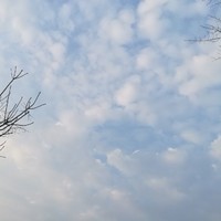 零碎小说