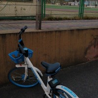 洛小熠之复仇