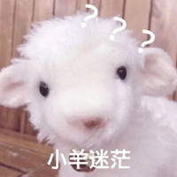 仙女做梦