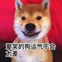 母胎单身狗