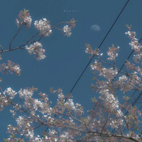 银星寻遗
