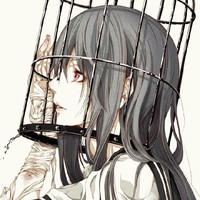 来自安井的单方面碾压