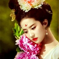 芳华录