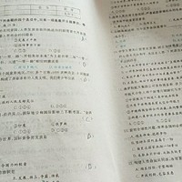 朴西西