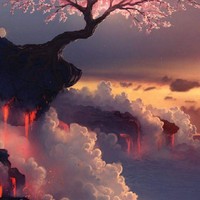 无悔的爱