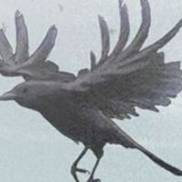 中间小虐