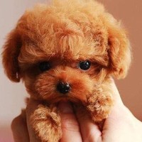 混穿系统