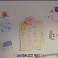 青春转向未来