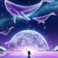 续上一个作品