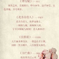 日更3000字