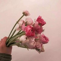日常系甜寵文
